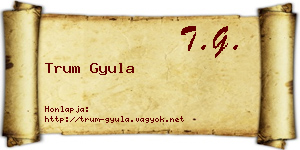 Trum Gyula névjegykártya